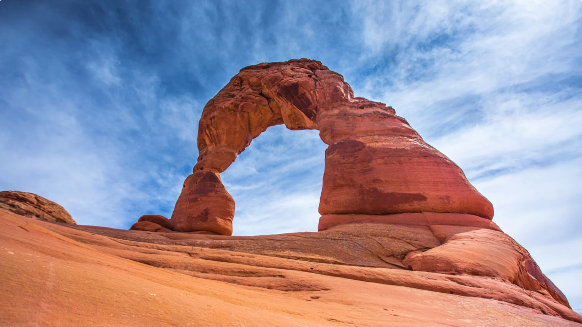 谷歌浏览器界面展示